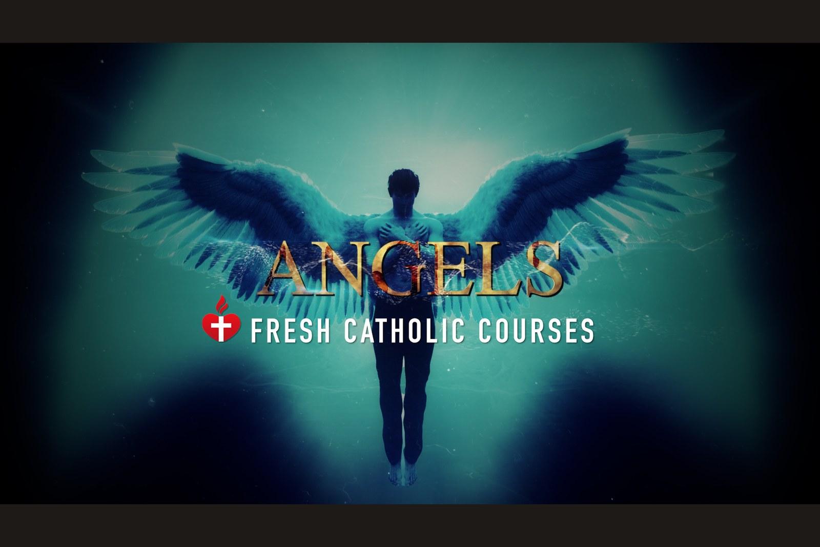 Angels study series